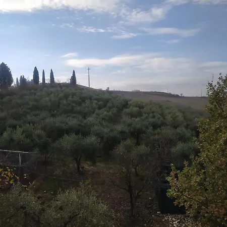 ゲストハウス L'oasi Delle Crete Senesi